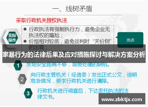 家暴行为的法律后果及应对措施探讨与解决方案分析